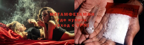 ПСИЛОЦИБИНОВЫЕ ГРИБЫ Тотьма