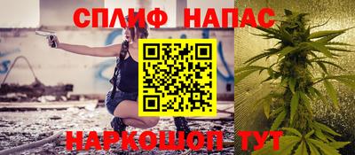 гидра Гагарин