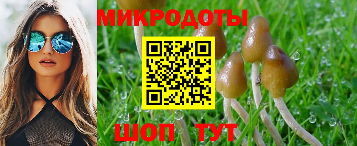 Апатиты  Псилоцибиновые грибы мухоморы  Вход с VPN  Псилоцибиновые грибы Magic Shrooms 