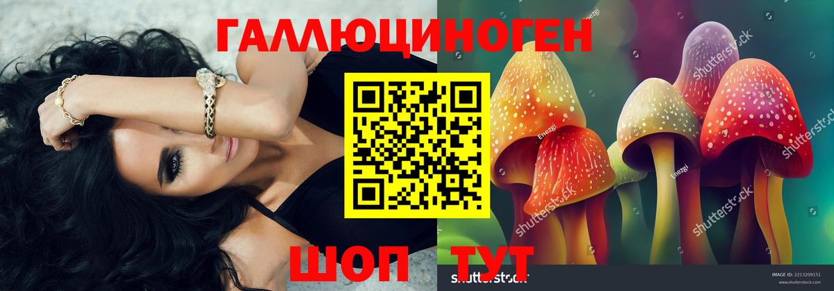 Галлюциногенные грибы Cubensis  Галлюциногенные грибы Psilocybe  Вход с VPN  Апатиты 